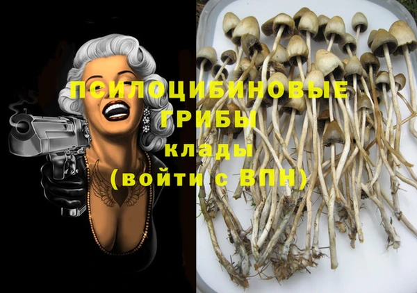 PSILOCYBIN Балахна
