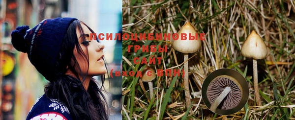 Альфа ПВП Арсеньев