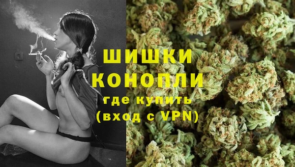 PSILOCYBIN Балахна