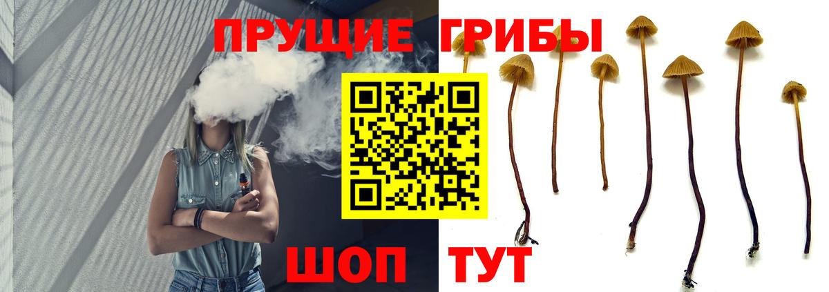 Псилоцибиновые грибы GOLDEN TEACHER Канаш