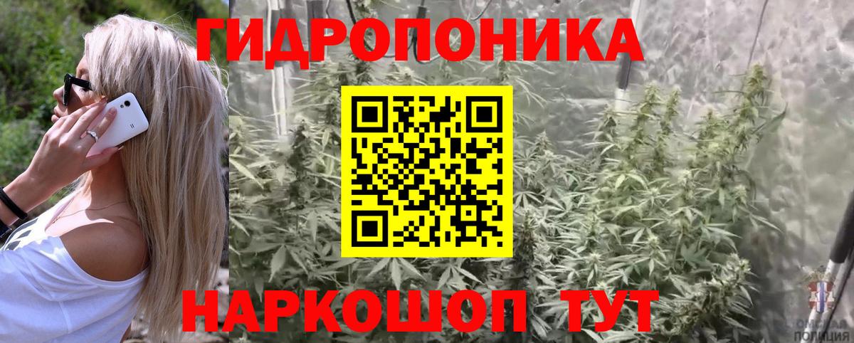 Конопля индика  Каннабис VHQ  Конопля OG Kush  Вход с VPN  Канаш  Конопля план 